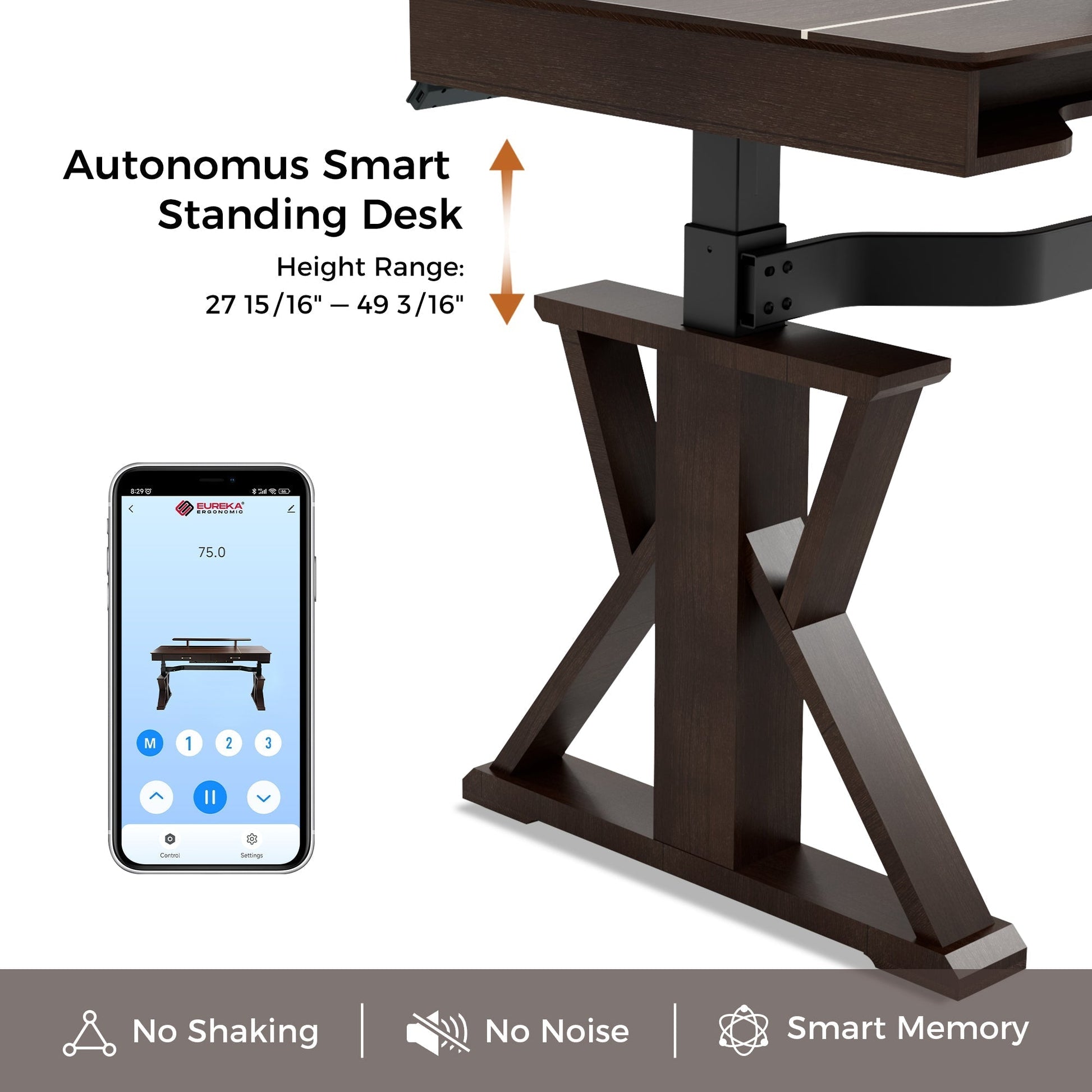 Ark SWS, 63 x 29 Executive Standing Desk