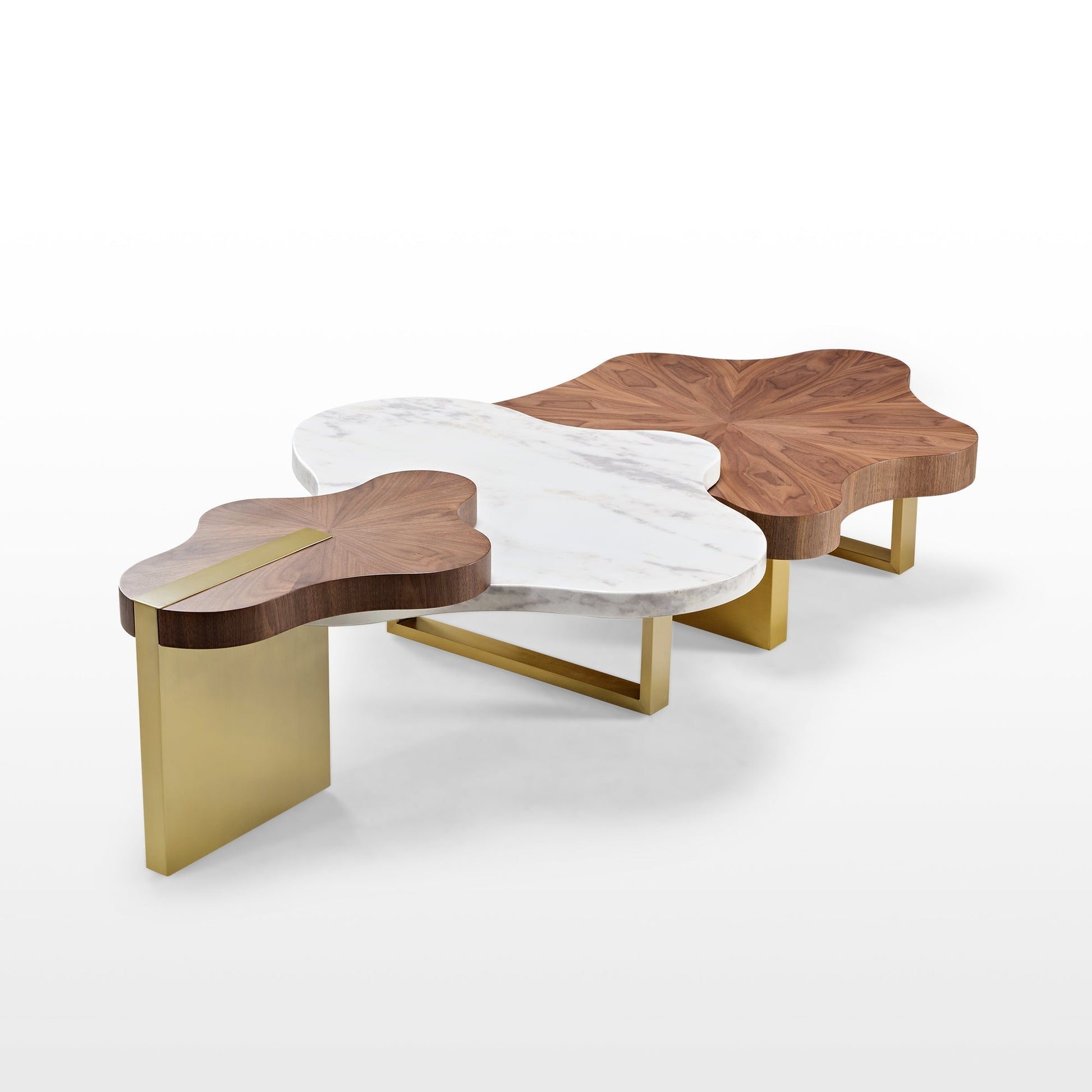 63" Cloud Shape Solid Wood Coffee Table Set