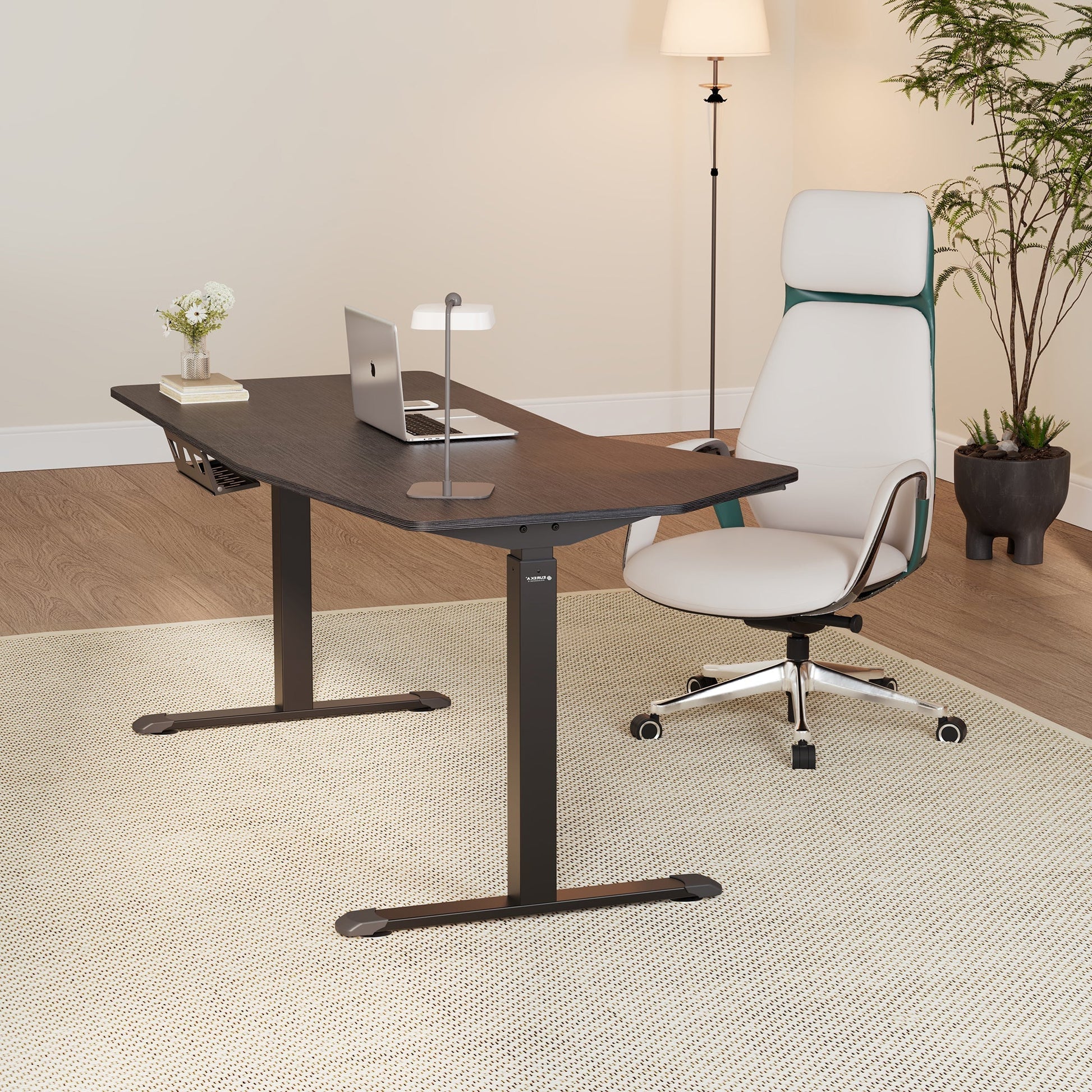 70x29 Unique Shape Office Standing Desk